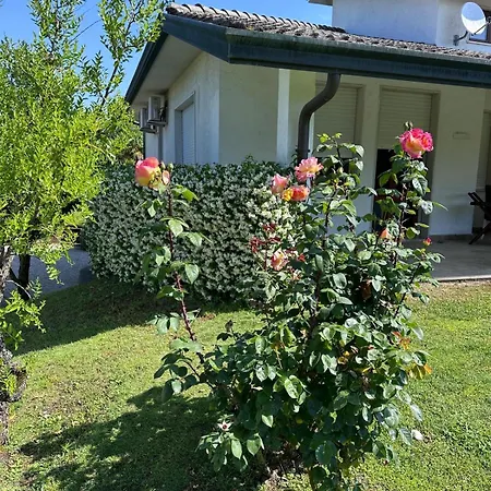 Savalin Villa Taglio Di Po